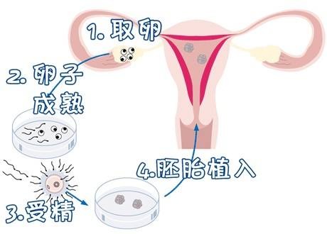 健闻医疗